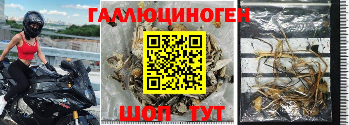 Псилоцибиновые грибы мухоморы  Вход с VPN  Саяногорск 