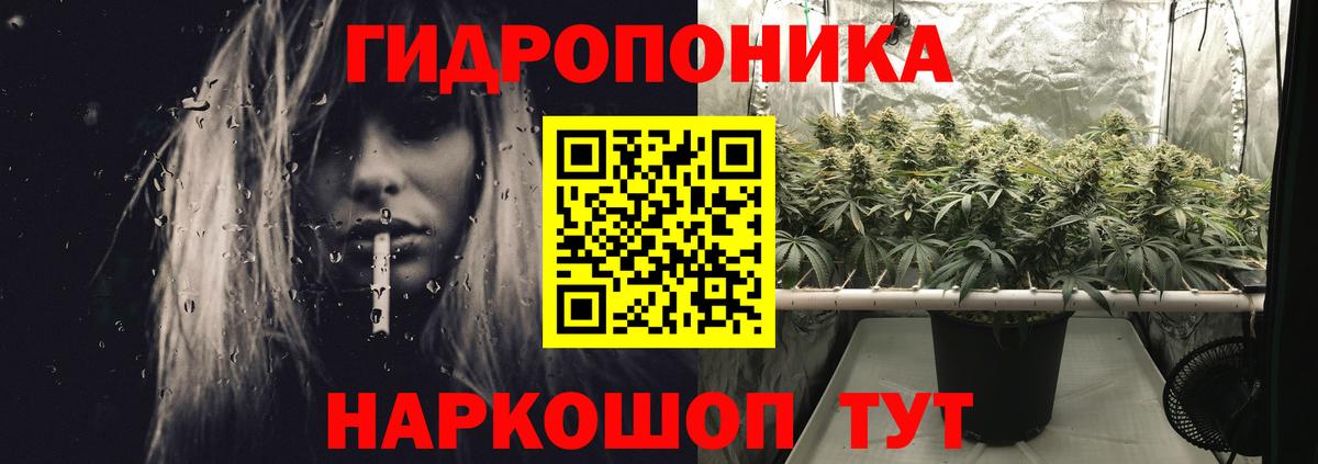 Бошки Шишки OG Kush Саяногорск